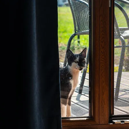 Nad Przelomem Bialki Feriehus *