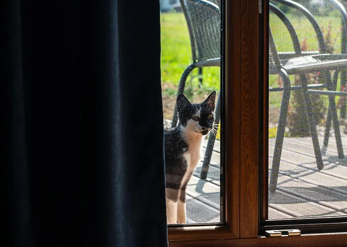 Nad Przelomem Bialki Feriehus *